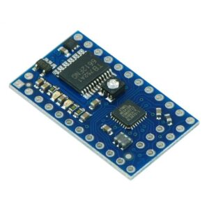 baby-orangutan-b-328