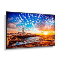 MONITOR PROFESIONAL NEC 55, P555 LED, 24/7, 700 CD/M2, 10 BIT, UHD, HDMI IN/OUT ARC, DP IN/OUT, USB, CONT.8000:1 COMPATIBLE INTEL SDM, RASPBERRY PI, CISCO Y DICOM 1 MONITOR PROFESIONAL NEC 55, P555 LED, 24/7, 700 CD/M2, 10 BIT, UHD, HDMI IN/OUT ARC, DP IN/OUT, USB, CONT.8000:1 COMPATIBLE INTEL SDM, RASPBERRY PI, CISCO Y DICOM