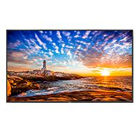 MONITOR PROFESIONAL NEC 49, P495 LED, 24/7, 700 CD/M2, 10 BIT, UHD, HDMI IN/OUT ARC, DP IN/OUT, USB, CONT.8000:1 COMPATIBLE INTEL SDM, RASPBERRY PI, CISCO Y DICOM 1 MONITOR PROFESIONAL NEC 49, P495 LED, 24/7, 700 CD/M2, 10 BIT, UHD, HDMI IN/OUT ARC, DP IN/OUT, USB, CONT.8000:1 COMPATIBLE INTEL SDM, RASPBERRY PI, CISCO Y DICOM